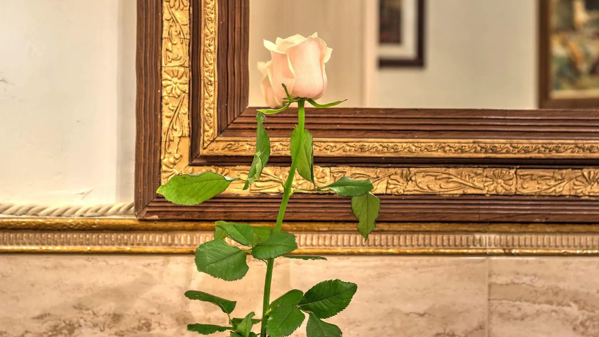 Guest house Residenza Corte Molin Venice